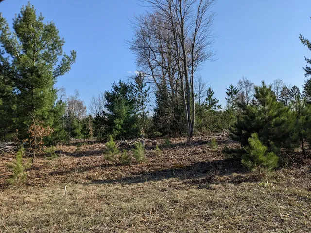 $15,500 | Jussi Street, Kaleva, MI 49645