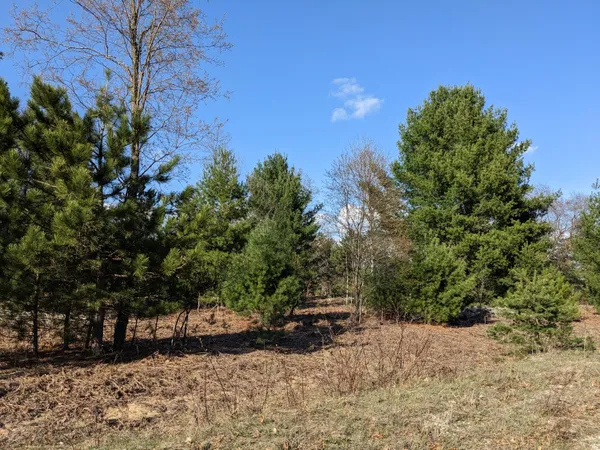 $15,500 | Jussi Street, Kaleva, MI 49645