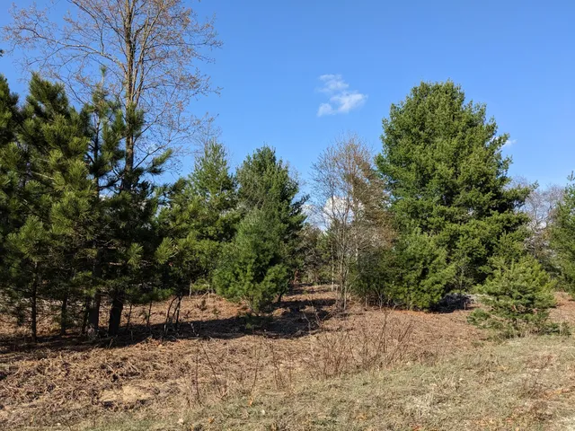 $15,500 | Jussi Street, Kaleva, MI 49645