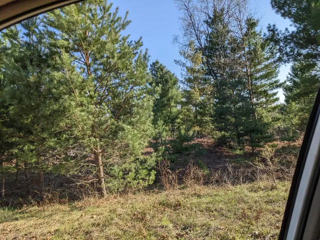 $15,500 | Jussi Street, Kaleva, MI 49645