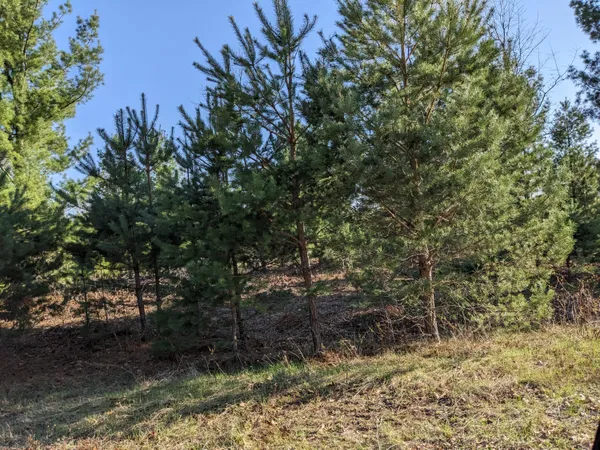 $15,500 | Jussi Street, Kaleva, MI 49645