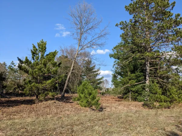 $15,500 | Jussi Street, Kaleva, MI 49645
