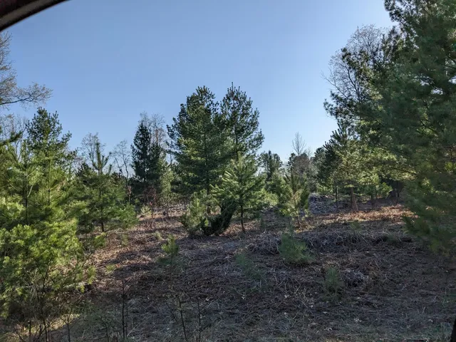 $15,500 | Jussi Street, Kaleva, MI 49645