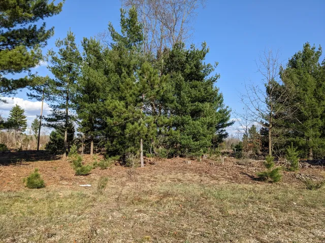 $15,500 | Jussi Street, Kaleva, MI 49645