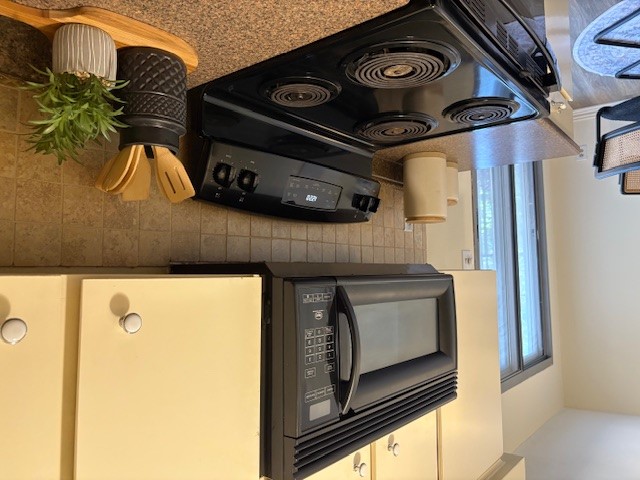 6910 Hart Lane, Unit 807 Austin, TX 78731 - Photo 25 of 36 a kitchen with a stove and a microwave