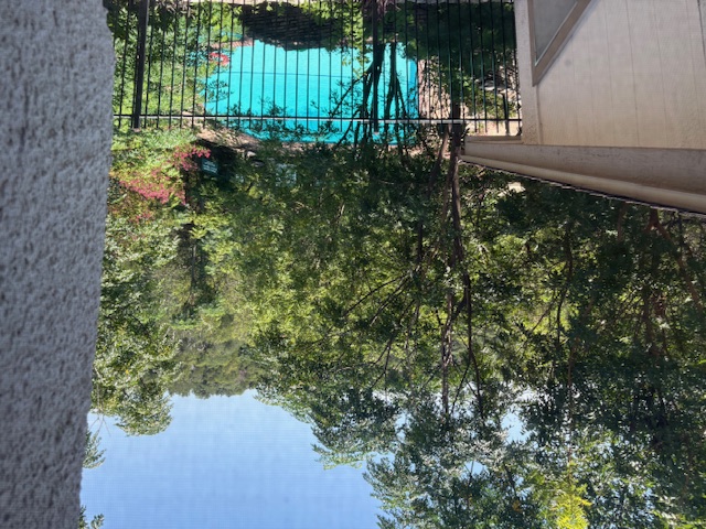 6910 Hart Lane, Unit 807 Austin, TX 78731 - Photo 30 of 36 a view of a yard with plants and a large tree