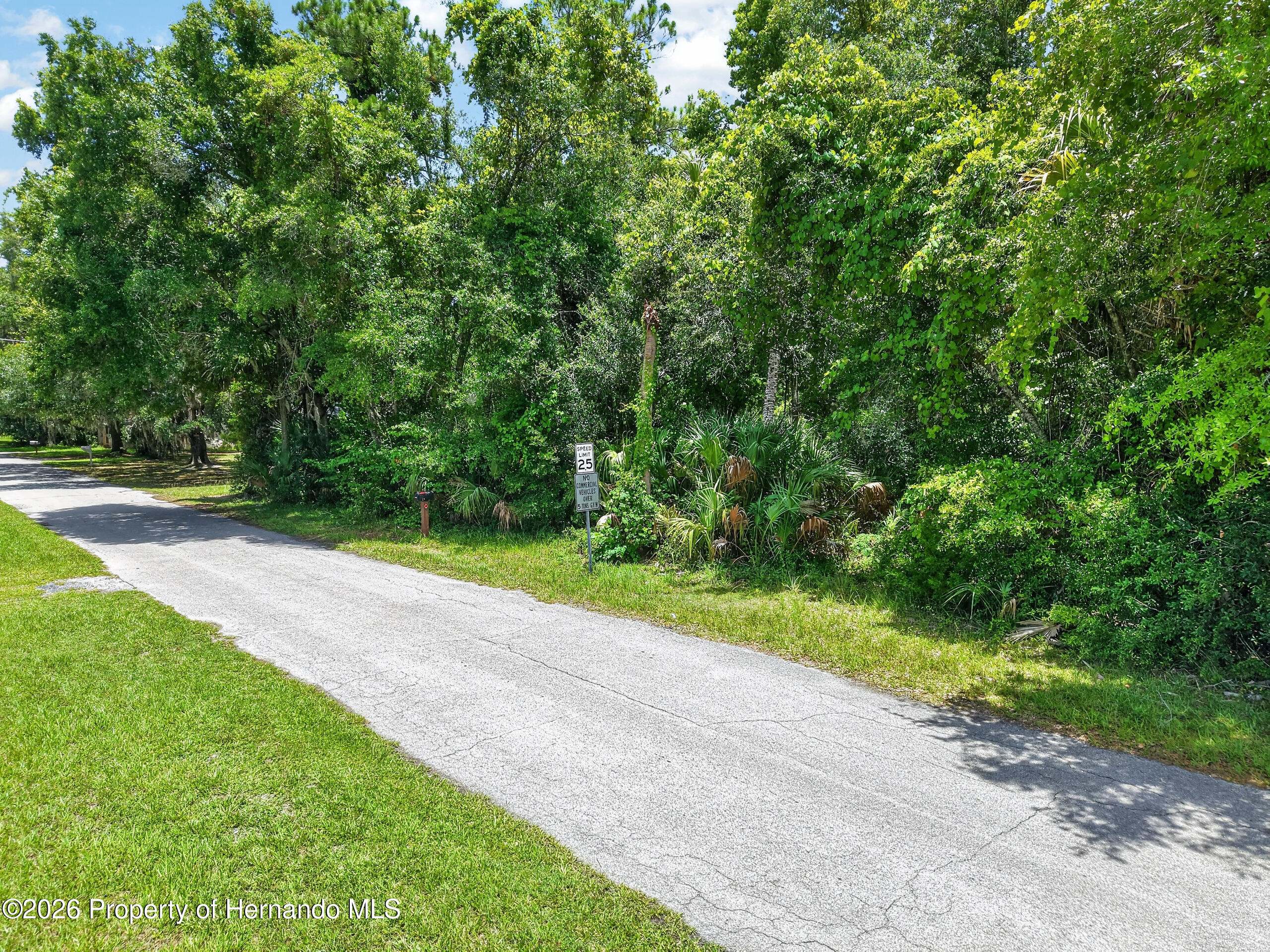 0 Highway 40 West Inglis, FL 34449 - Photo 1 of 8 a view of a yard with plants and large trees