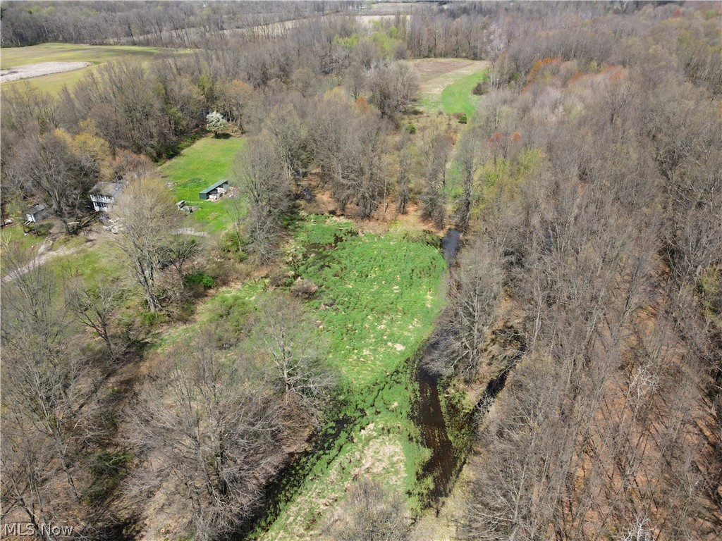 10537 Gilbert Road Newton Falls, OH 44444 - Photo 4 of 8