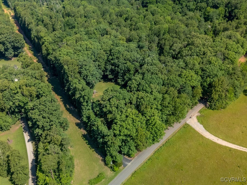 1875 Capeway Road Powhatan, VA 23139 - Photo 27 of 42 a view of a large yard with plants and large trees