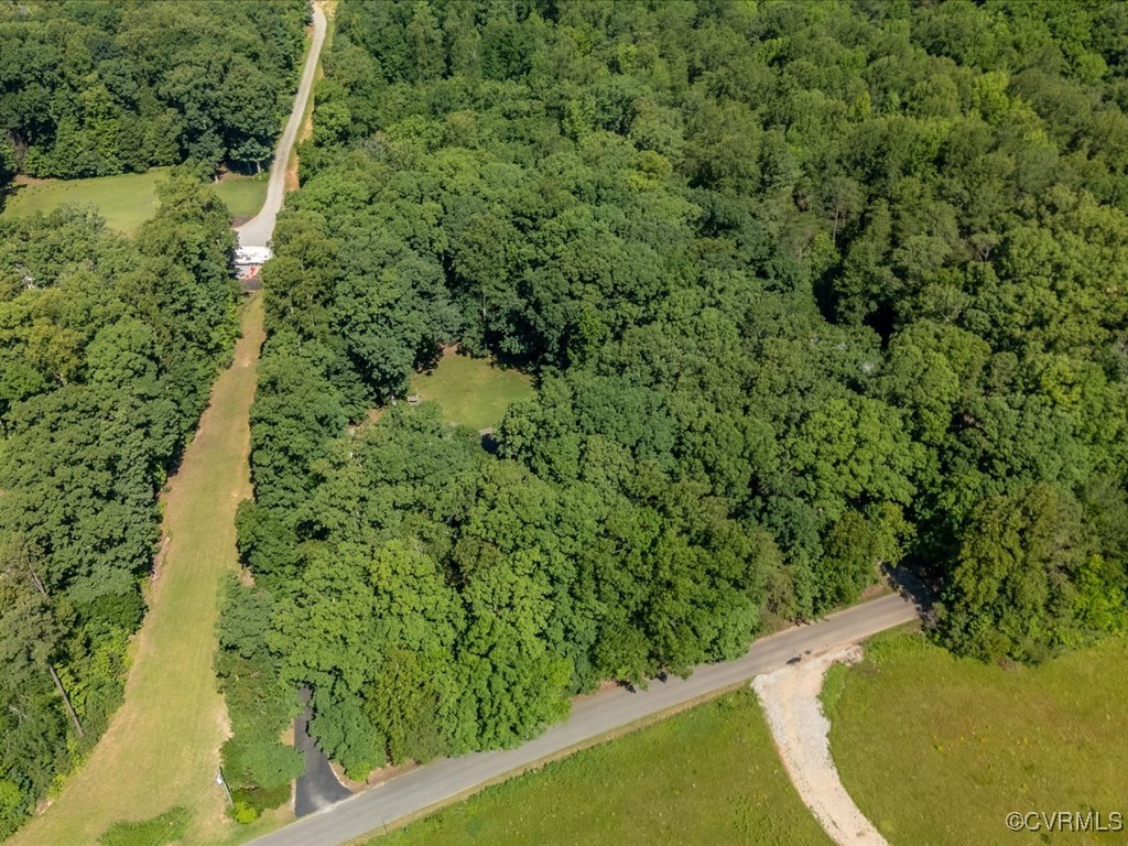1875 Capeway Road Powhatan, VA 23139 - Photo 29 of 42 a view of a garden