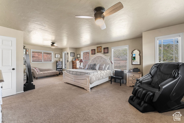 6407 North Dry Frk Cyn Road West Vernal, UT 84078 - Photo 30 of 48 Bedroom featuring light colored carpet, a ceiling fan, and a textured ceiling