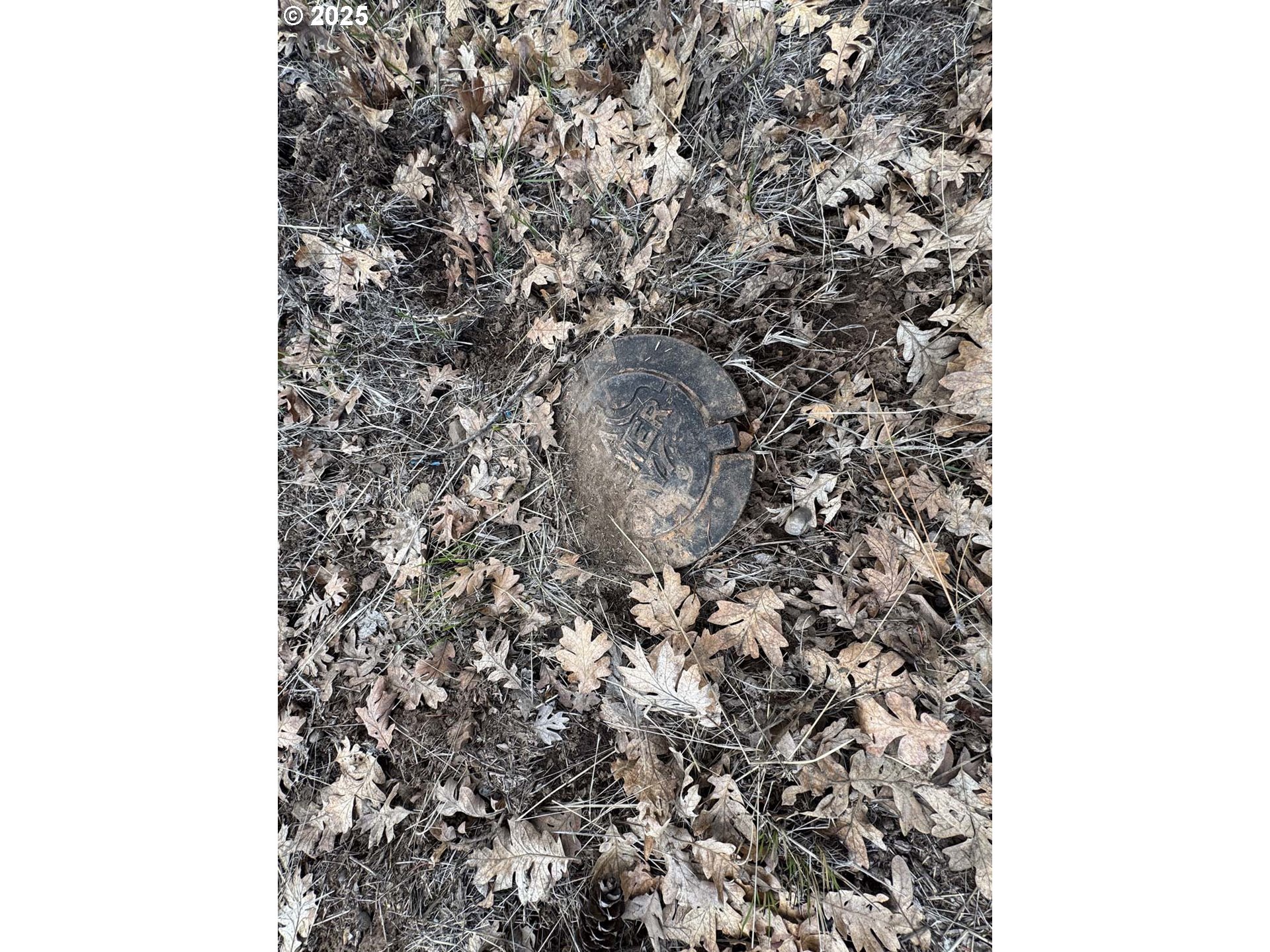 Coopers Hawk Road Klamath Falls, OR 97601 - Photo 11 of 22