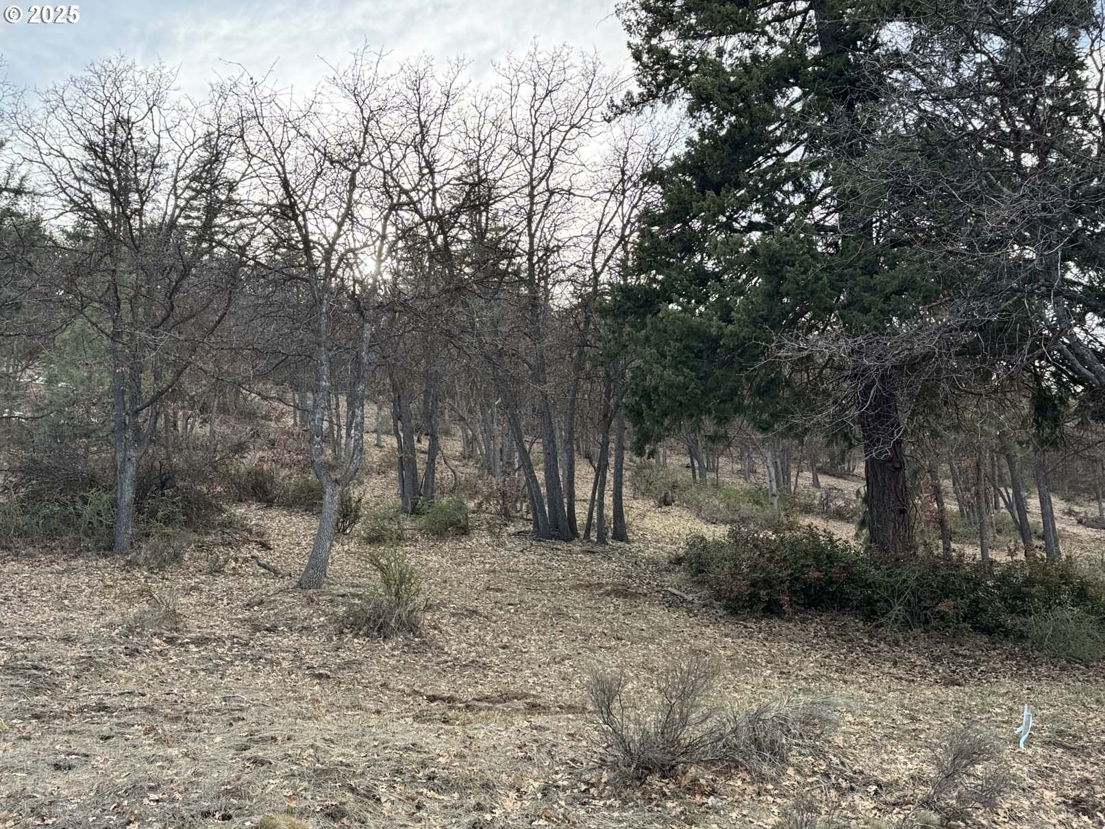 Coopers Hawk Road Klamath Falls, OR 97601 - Photo 15 of 22