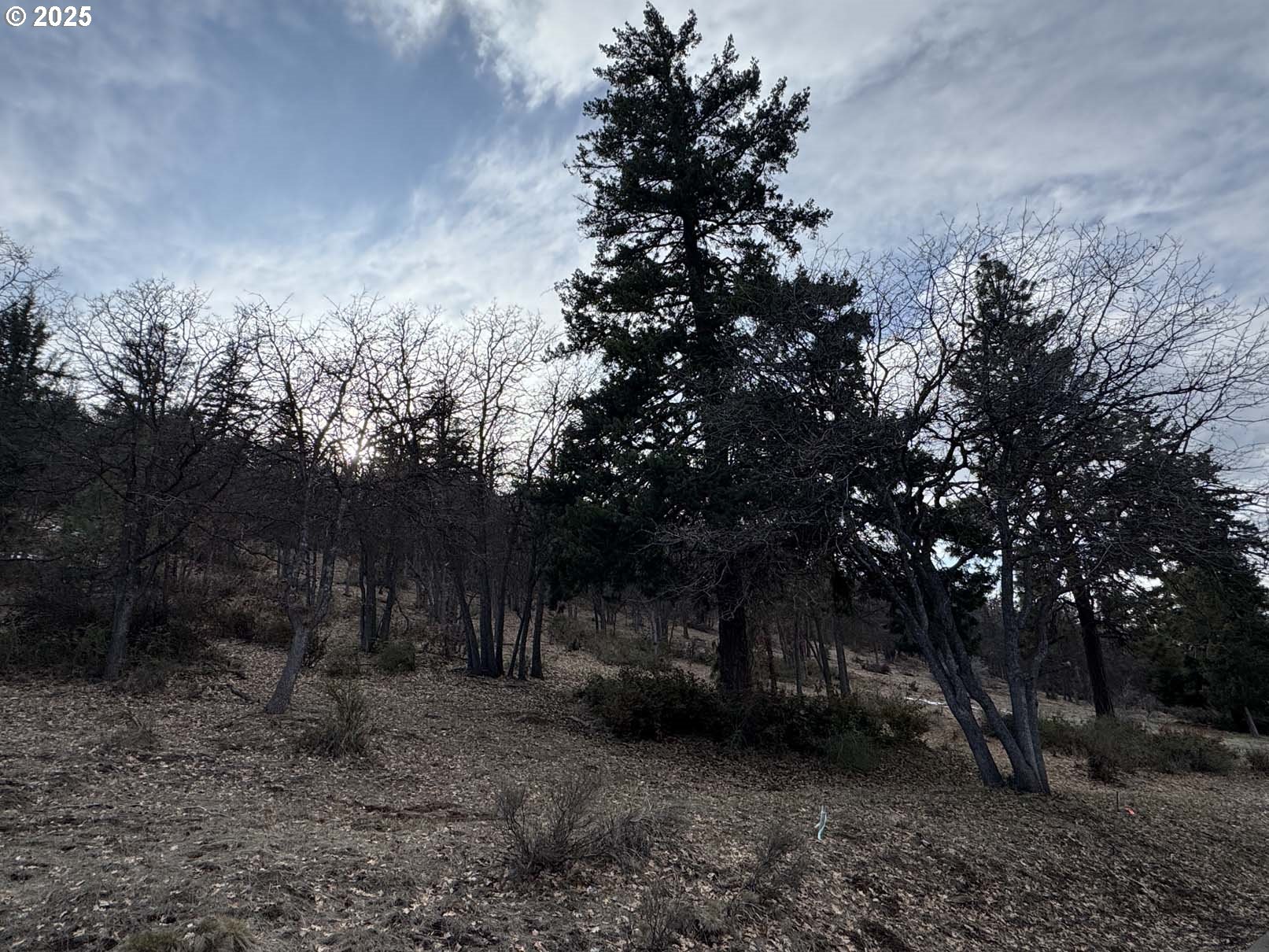 Coopers Hawk Road Klamath Falls, OR 97601 - Photo 16 of 22