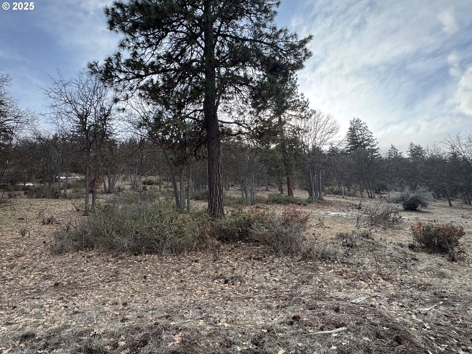 Coopers Hawk Road Klamath Falls, OR 97601 - Photo 20 of 22