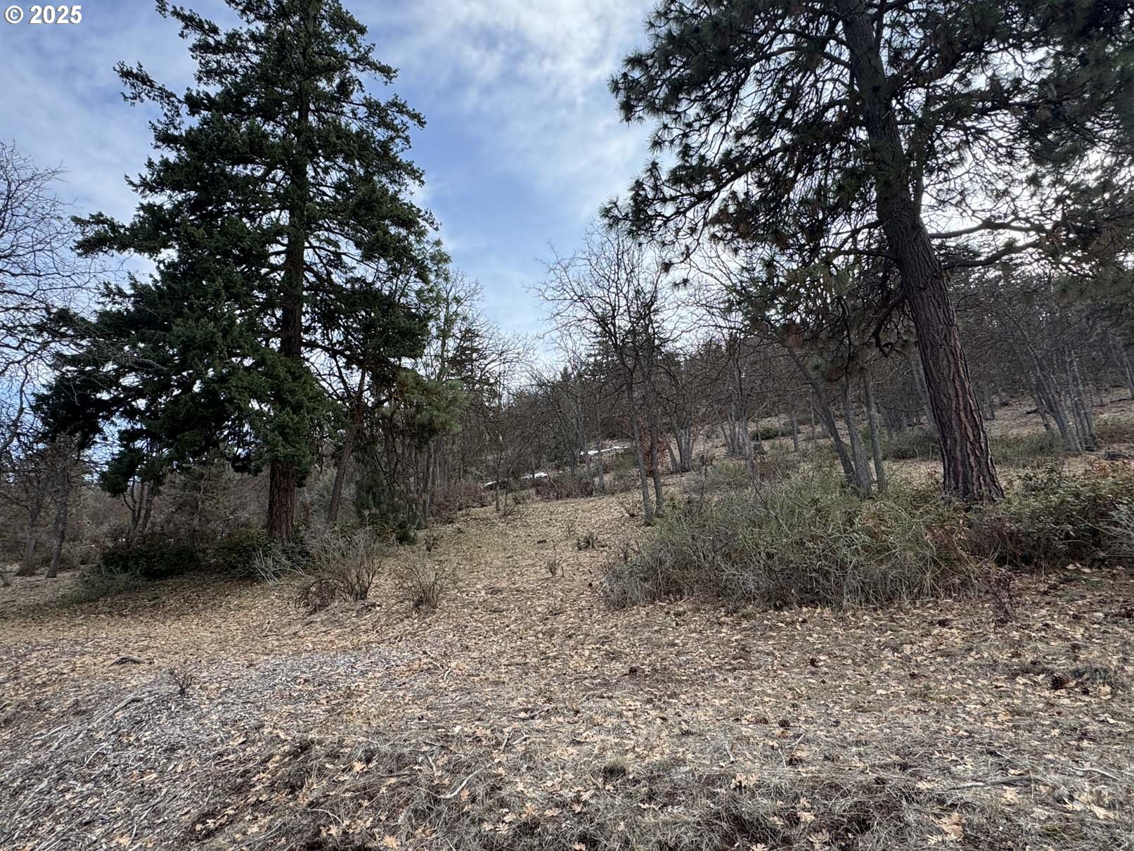 Coopers Hawk Road Klamath Falls, OR 97601 - Photo 22 of 22