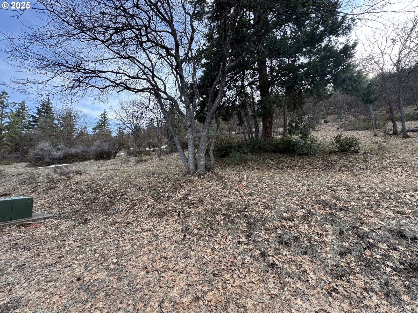 Coopers Hawk Road Klamath Falls, OR 97601 - Photo 7 of 22