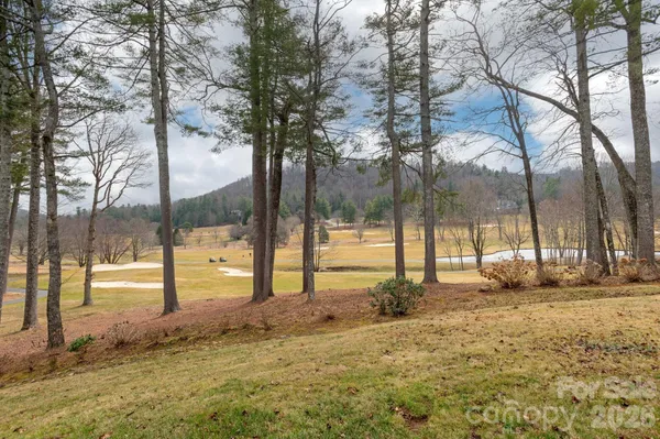 a view of a yard with a tree