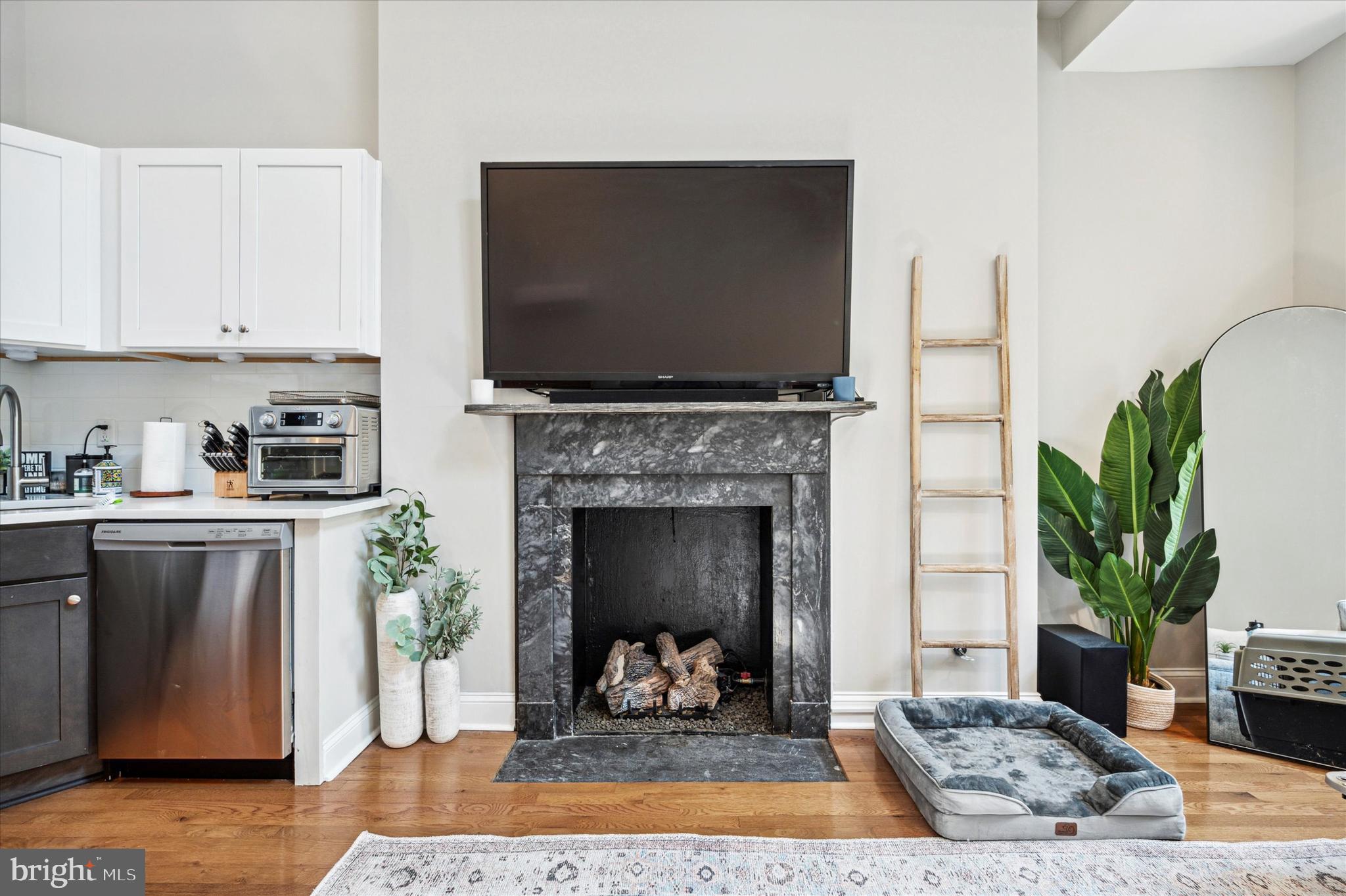 1015 Clinton Street, Unit 3 Philadelphia, PA 19107 - Photo 8 of 25 a living room with furniture and a fireplace