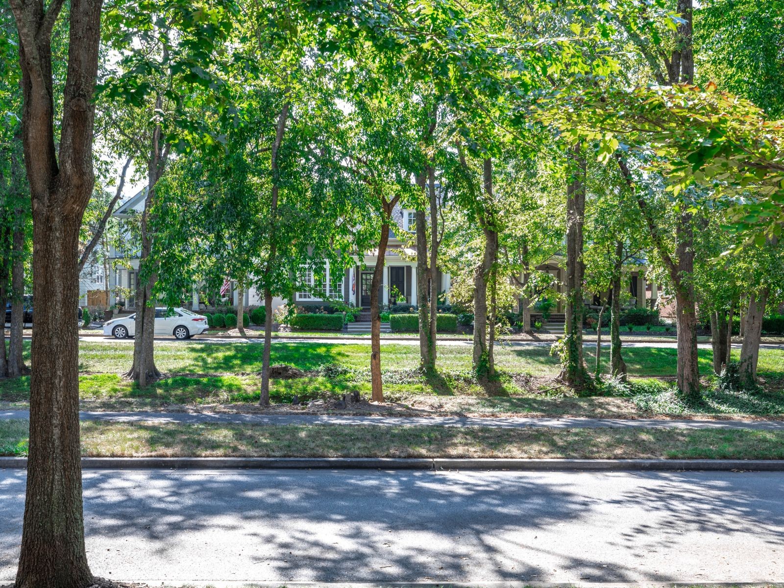 110 Pearl Street Franklin, TN 37064 - Photo 2 of 38 a view of a park with large trees