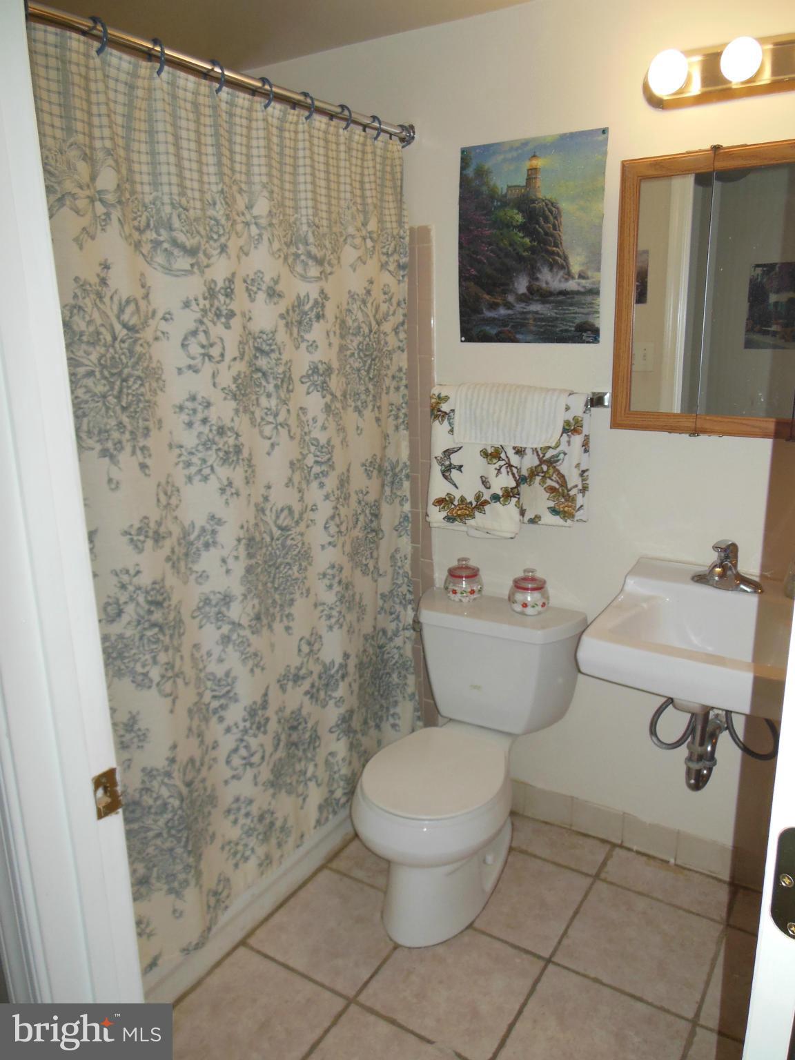 1316 North Spring Street Baltimore, MD 21213 - Photo 8 of 10 Bath