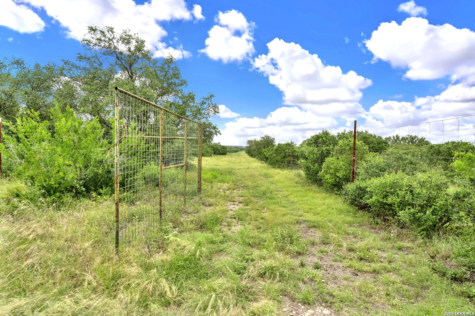 0 Fm 1796 D'Hanis, TX 78850 - Photo 5 of 26 a view of yard with green space