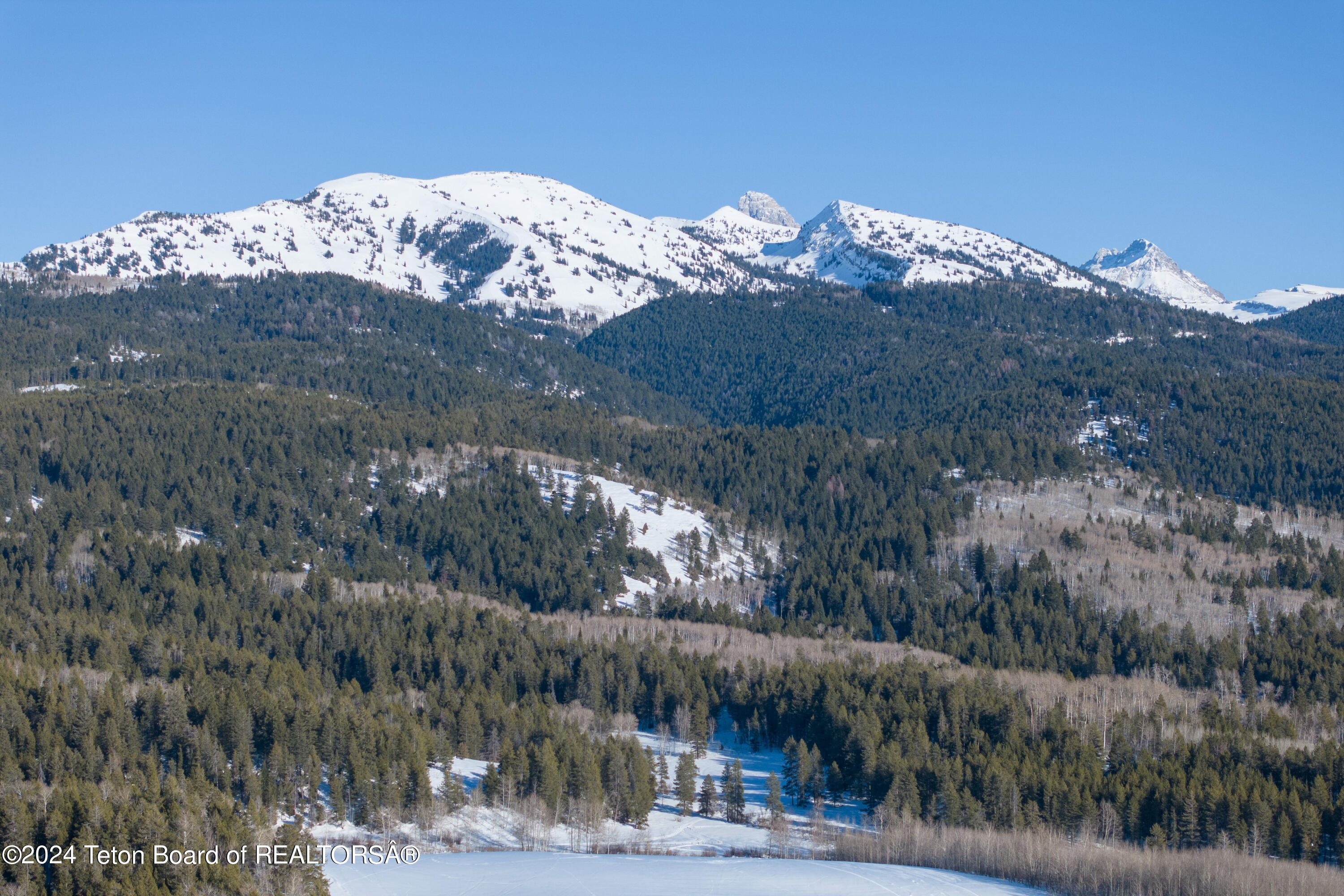 5 Blair Road Alta, WY 83414 - Photo 90 of 91 Winter Aerial 36