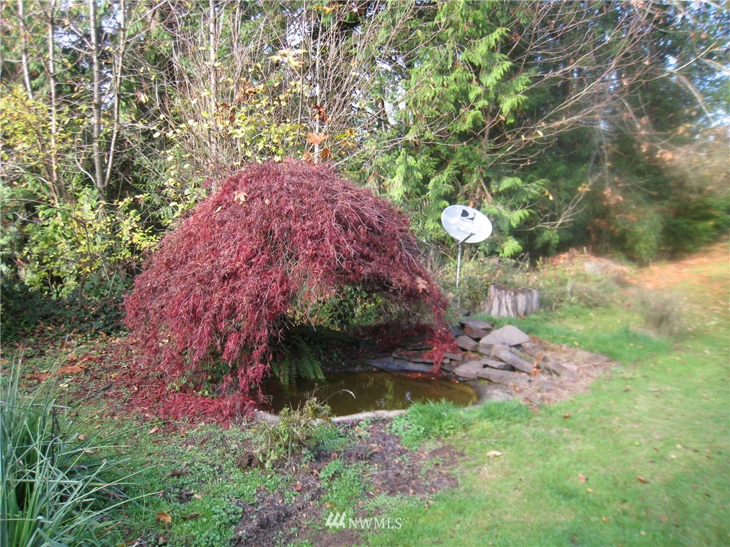 202 Cole Road Kelso, WA 98626 - Photo 15 of 24 Gallery Image 15