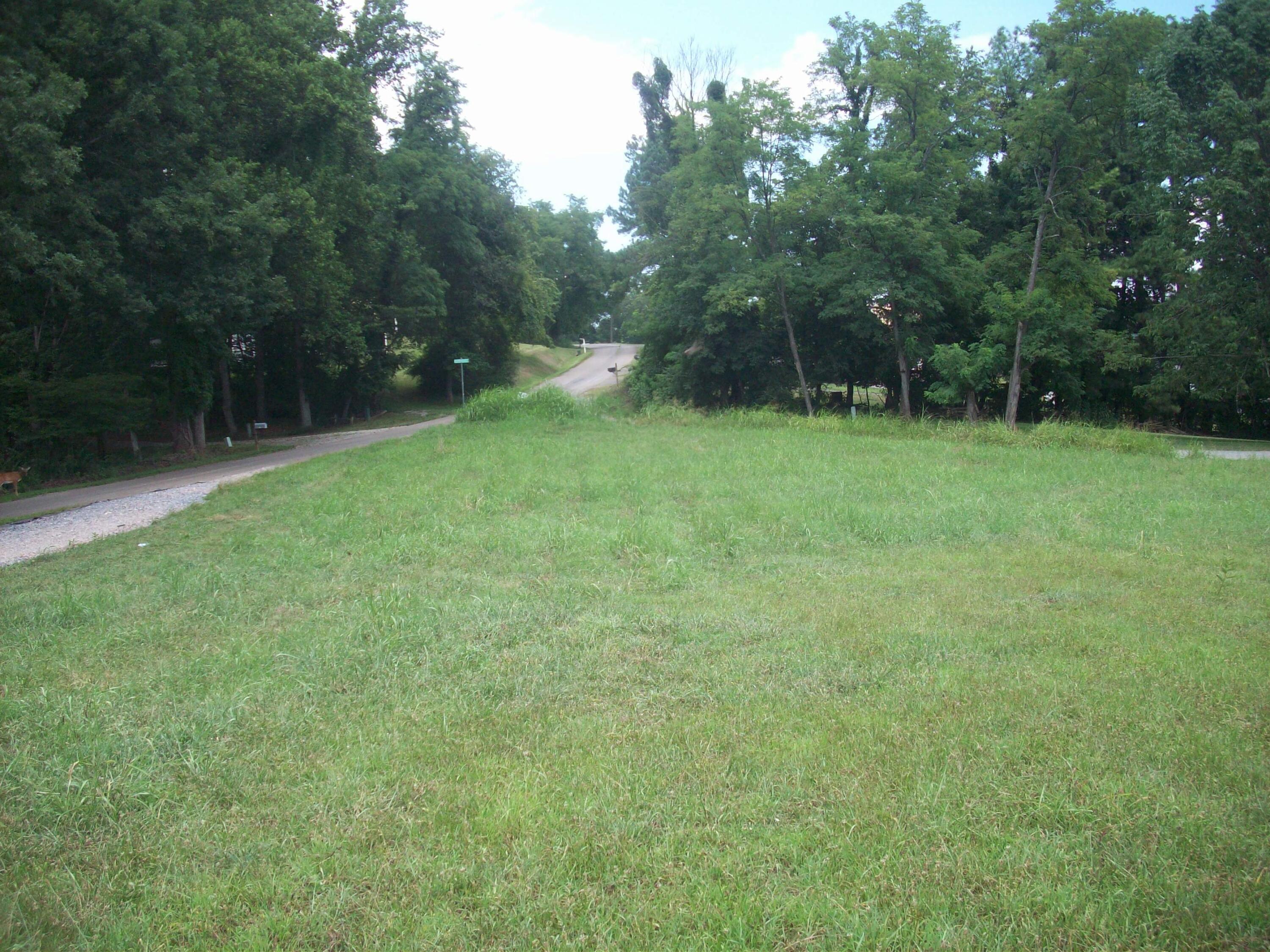 Lot 1 Horseshoe Bend Road Goodview, VA 24095 - Photo 2 of 3 a backyard of a house with plants and trees
