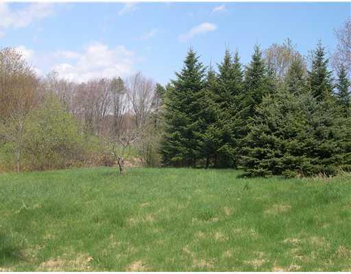 121 Old Pool Road Biddeford, ME 04005 - Photo 6 of 10 Land. with view of the pines