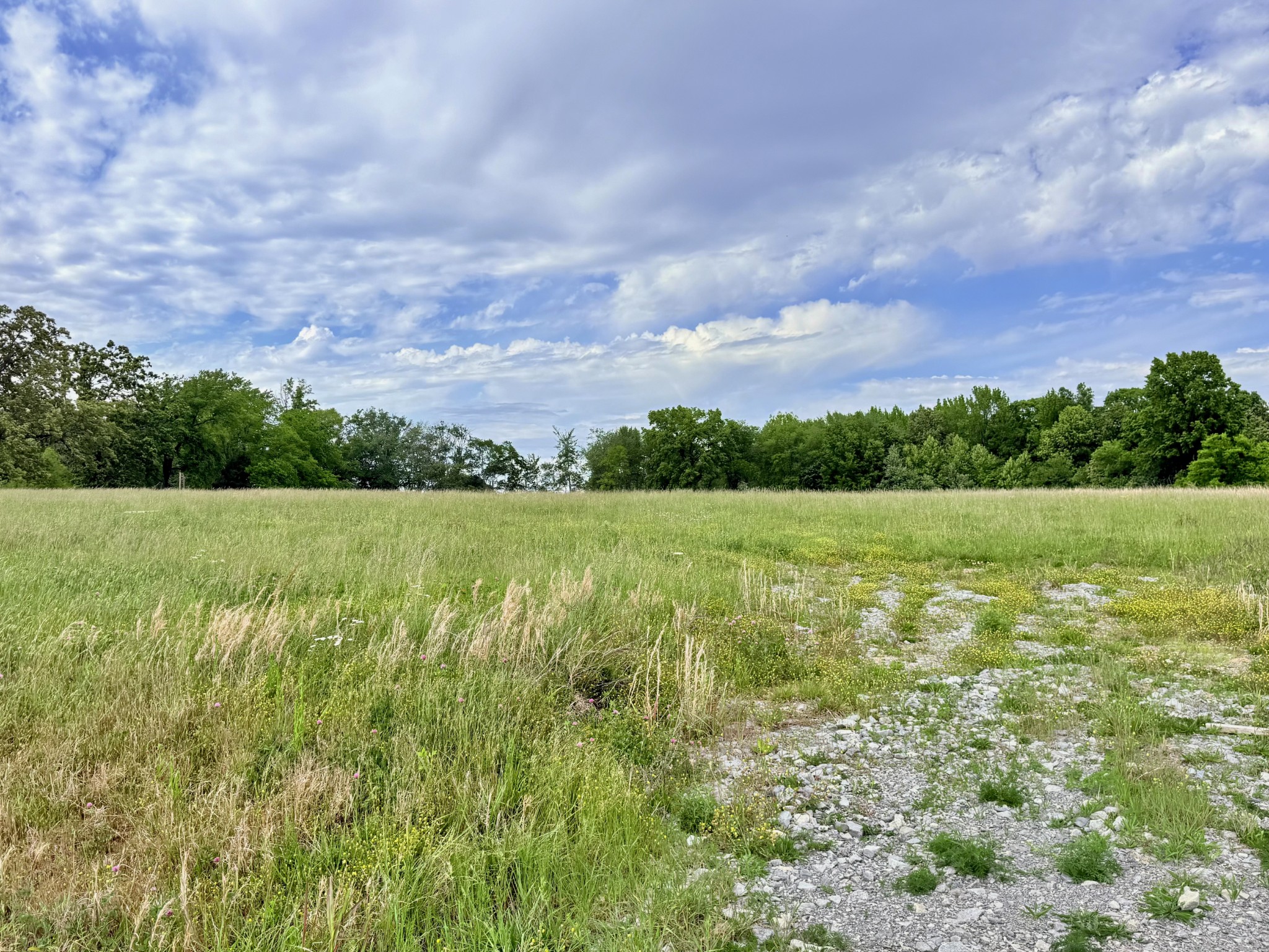 5165 Highway 41 Springfield, TN 37172 - Photo 2 of 6 a view of a lake with a big yard