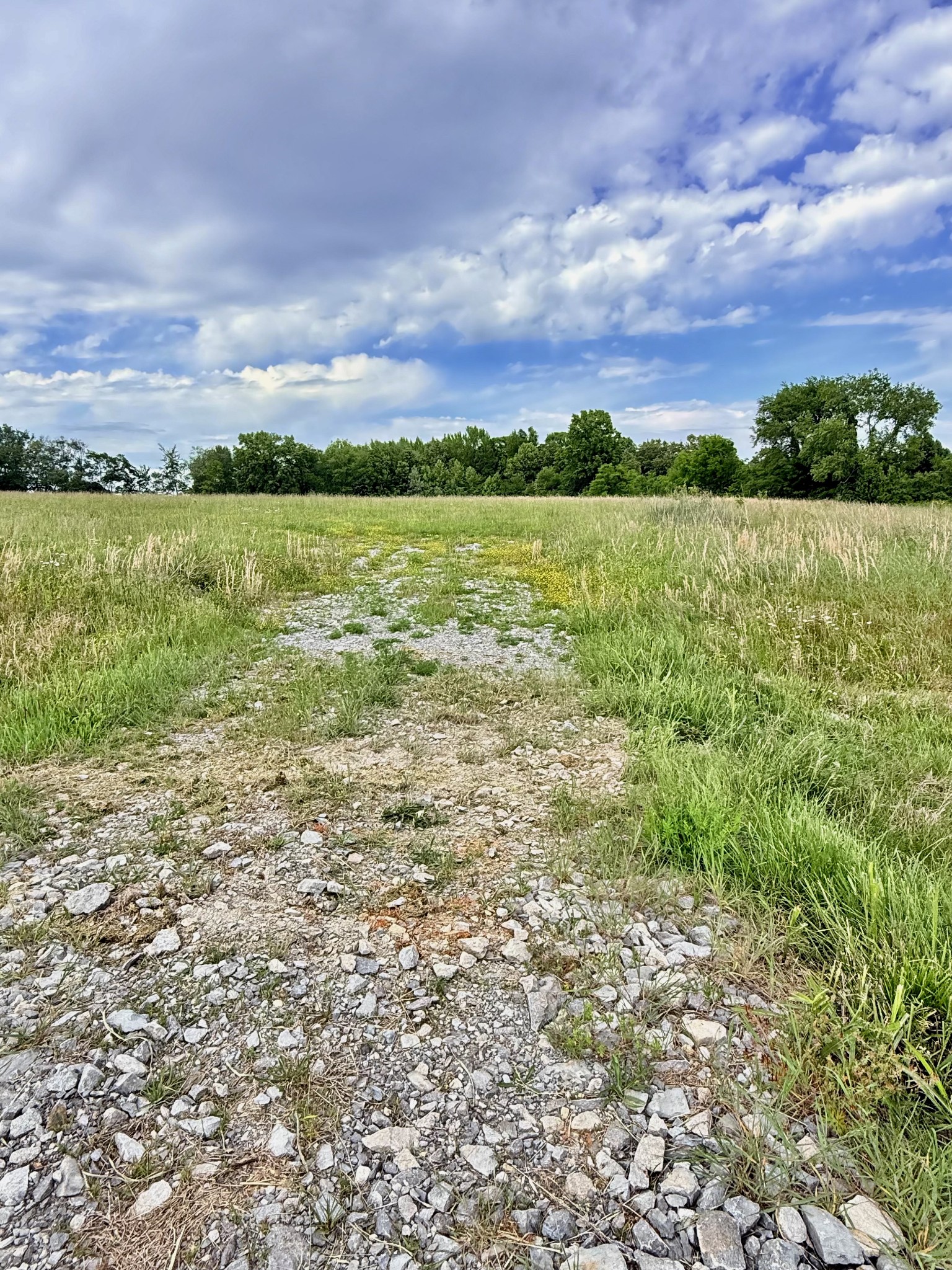 5165 Highway 41 Springfield, TN 37172 - Photo 5 of 6 a view of a lake with a city