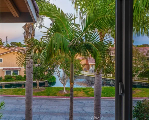 a view of a palm trees front of house with wooden fence