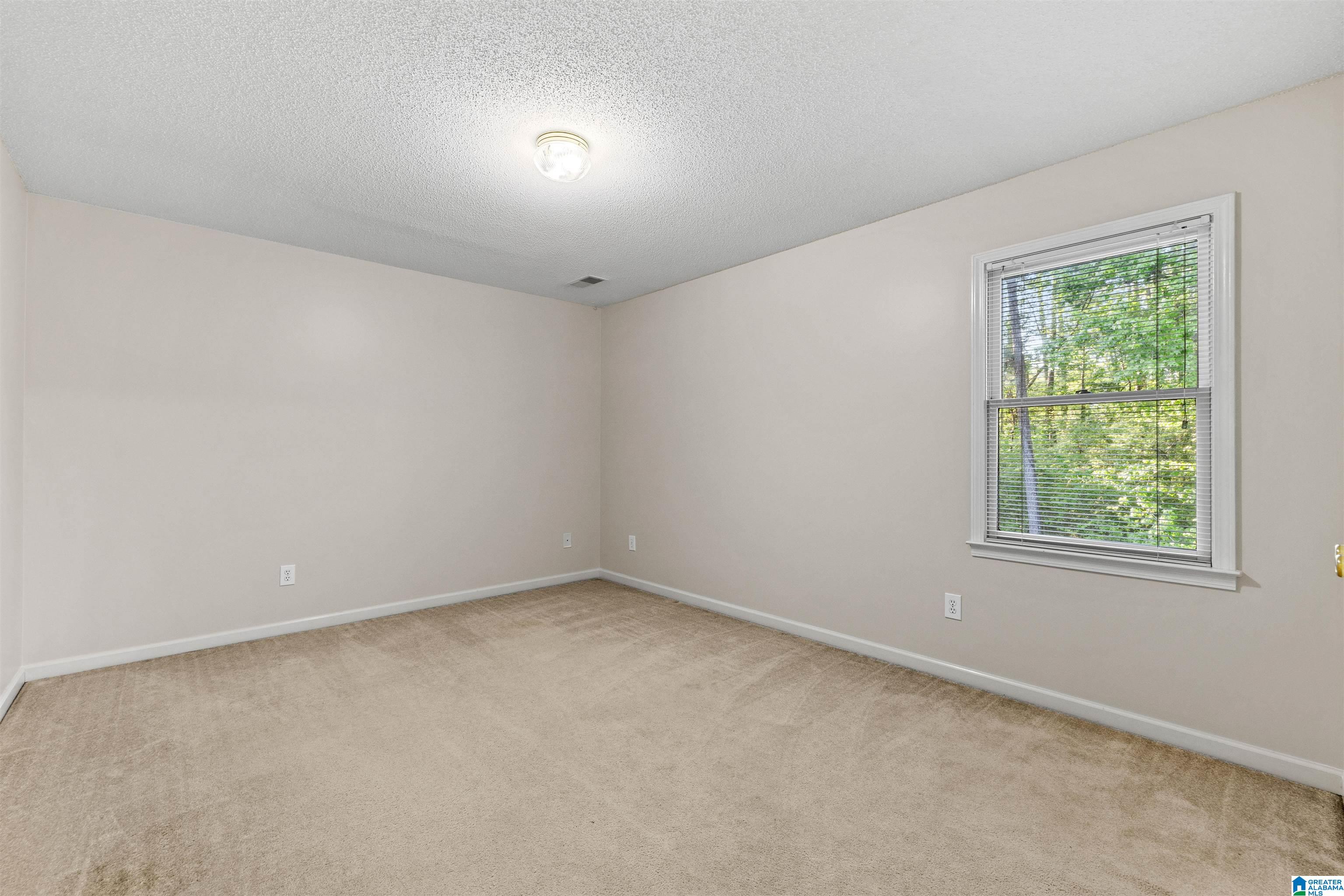 6258 Old Springville Road Pinson, AL 35126 - Photo 20 of 30