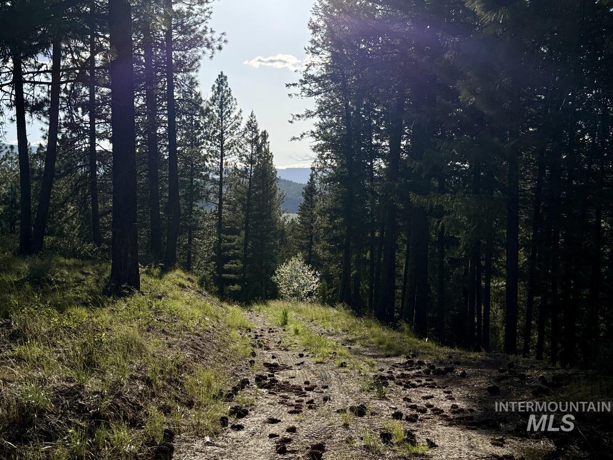 18 Tito Trail Cascade, ID 83611 - Photo 7 of 10