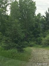 800 Obrien Road Mayville, MI 48744 - Photo 15 of 21 8-1.jpg