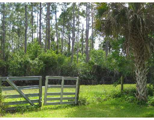 12142 175th Road North Jupiter, FL 33478 - Photo 14 of 16 Additional Photo