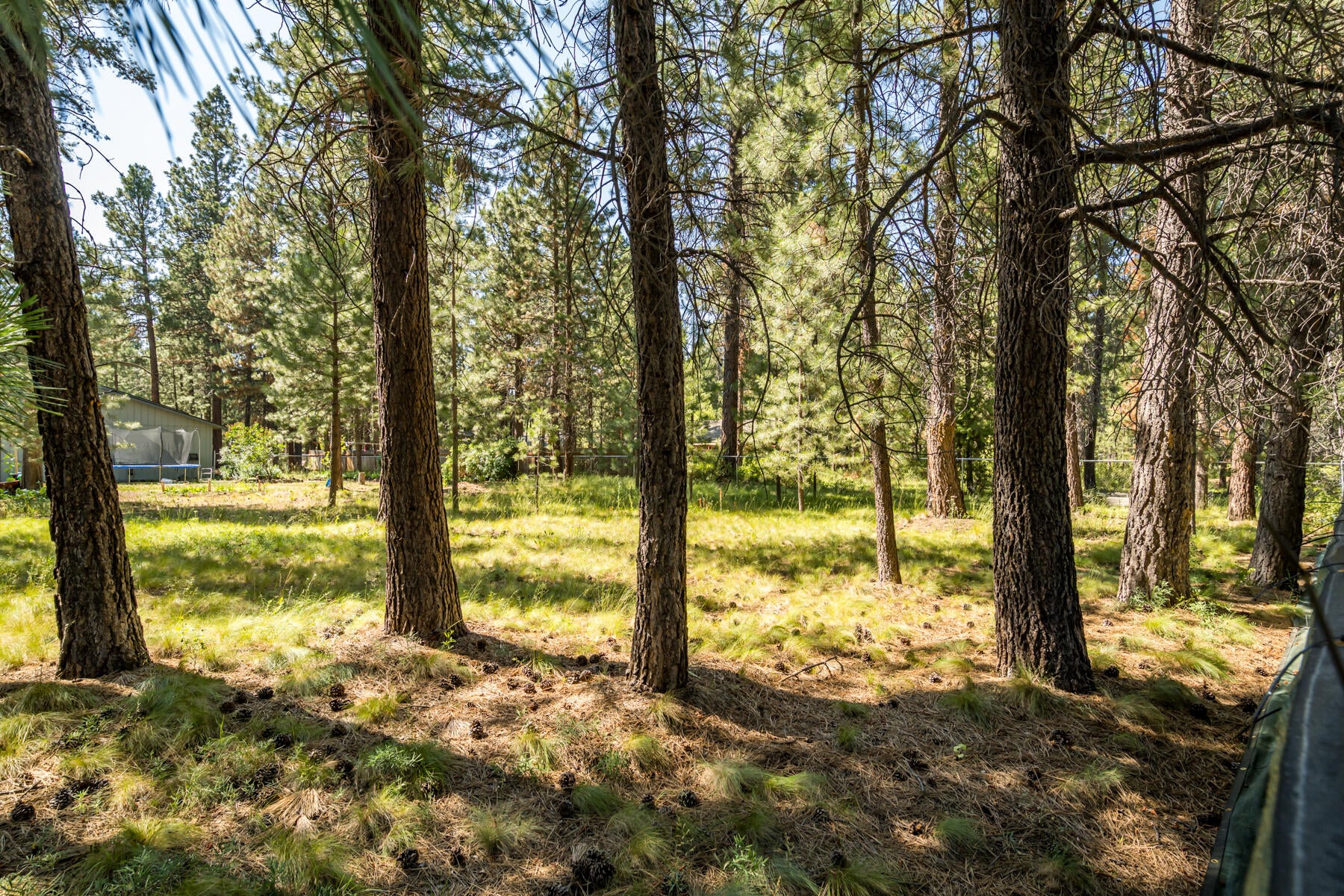 17176 Norwalk Road Bend, OR 97707 - Photo 8 of 10 JH5_2887