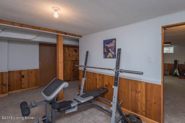 222 Alcott Road Louisville, KY 40207 - Photo 28 of 35 basement