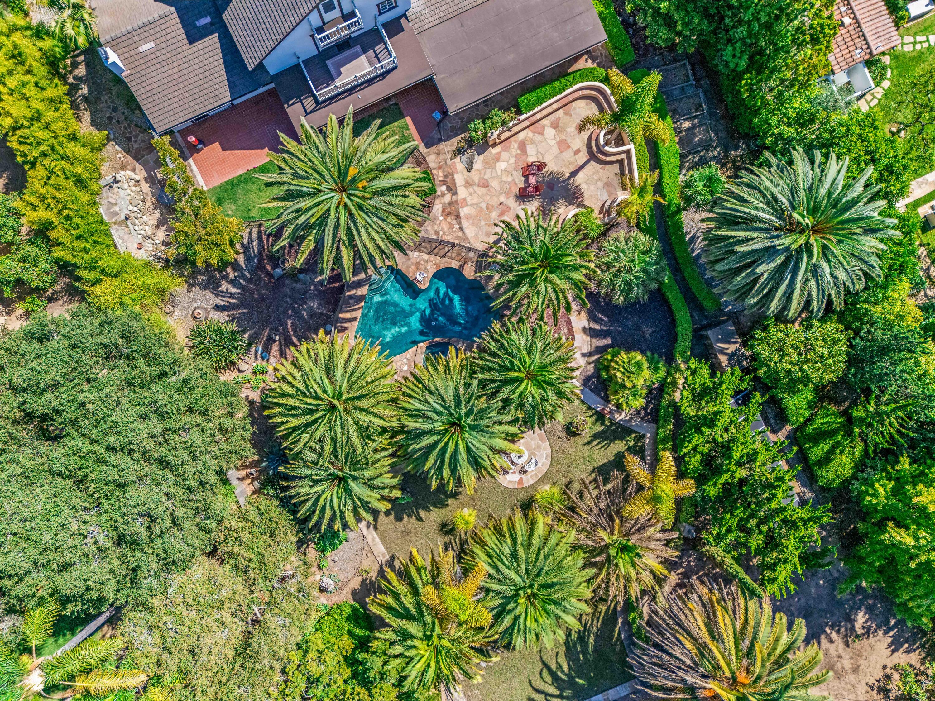 a view of a potted plant in front of a building