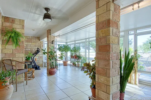 a potted plant sitting in front of a building