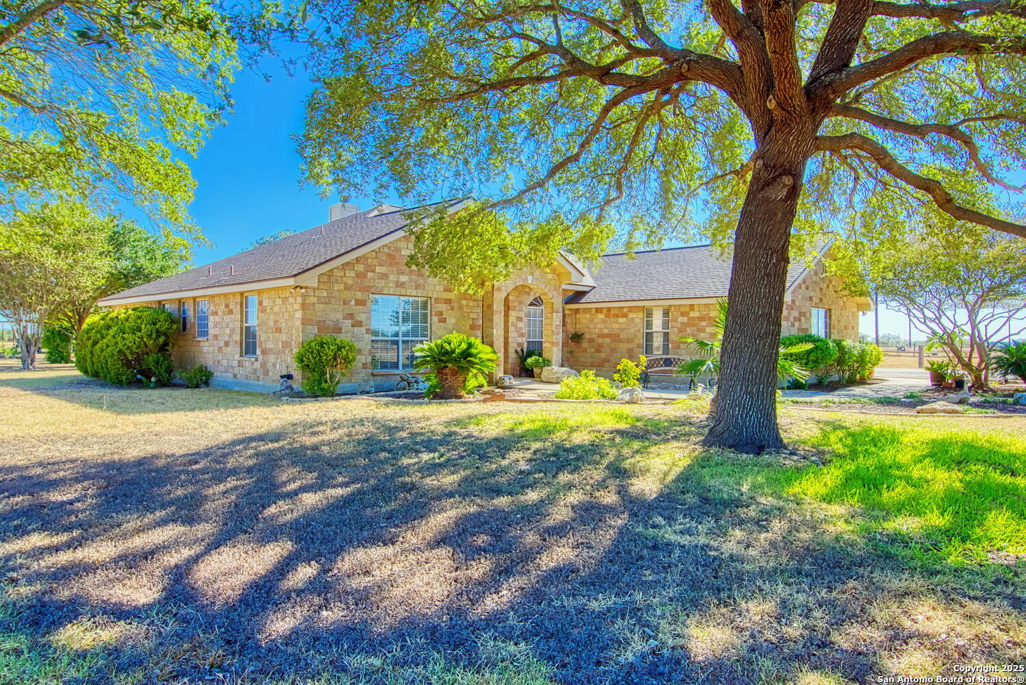 15260 Miller Road St. Hedwig, TX 78152 - Photo 7 of 48 a view of a house with a tree and plants