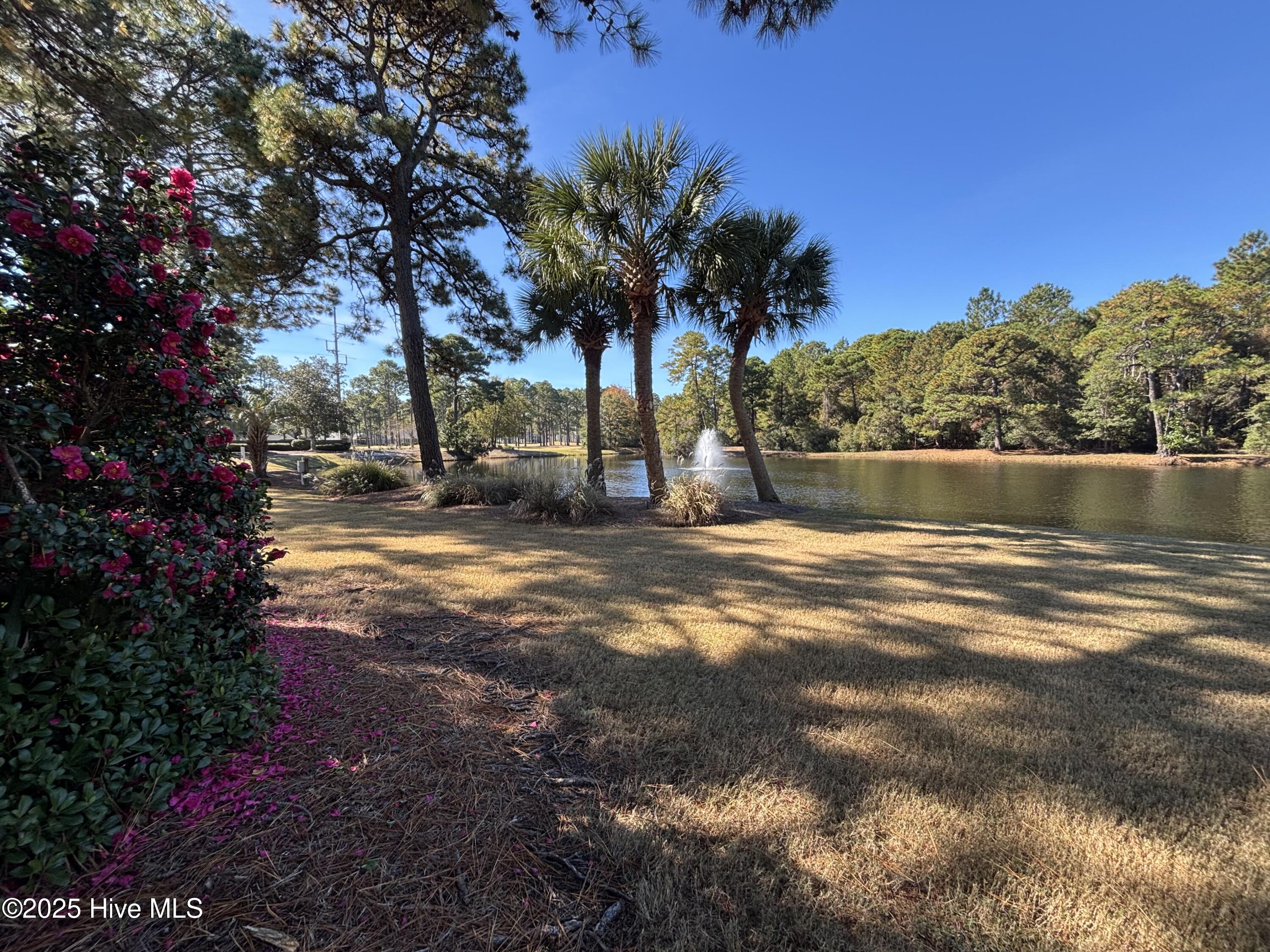 7509 Moorhen Lane Southwest, Unit 52D Sunset Beach, NC 28468 - Photo 31 of 39 Pond pic