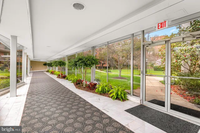 a view of a garden and potted plants