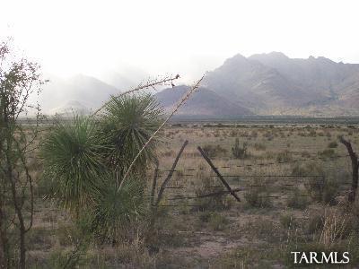 0 North Painted Pony Road San Simon, AZ 85632 - Photo 1 of 1