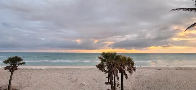 a view of a lake in middle of forest