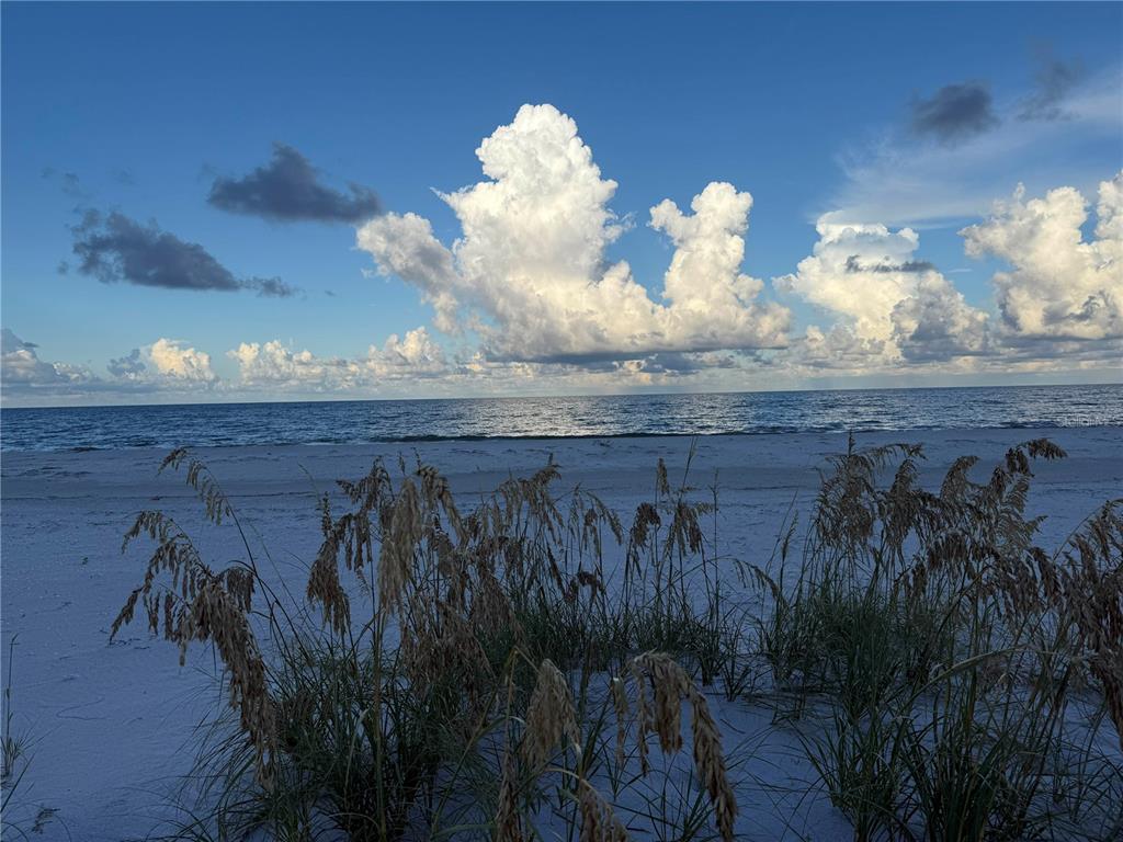 9502 Alborado Road Placida, FL 33946 - Photo 59 of 61