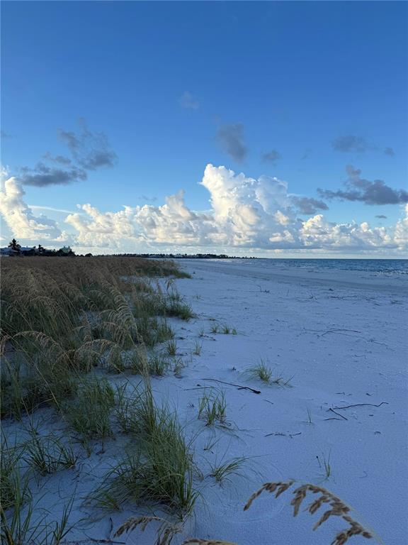 9502 Alborado Road Placida, FL 33946 - Photo 60 of 61 a view of a lake with a mountain