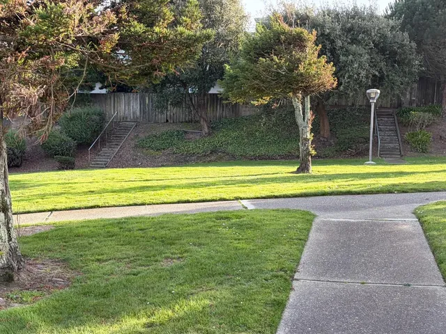 a view of a swimming pool with a yard and large trees