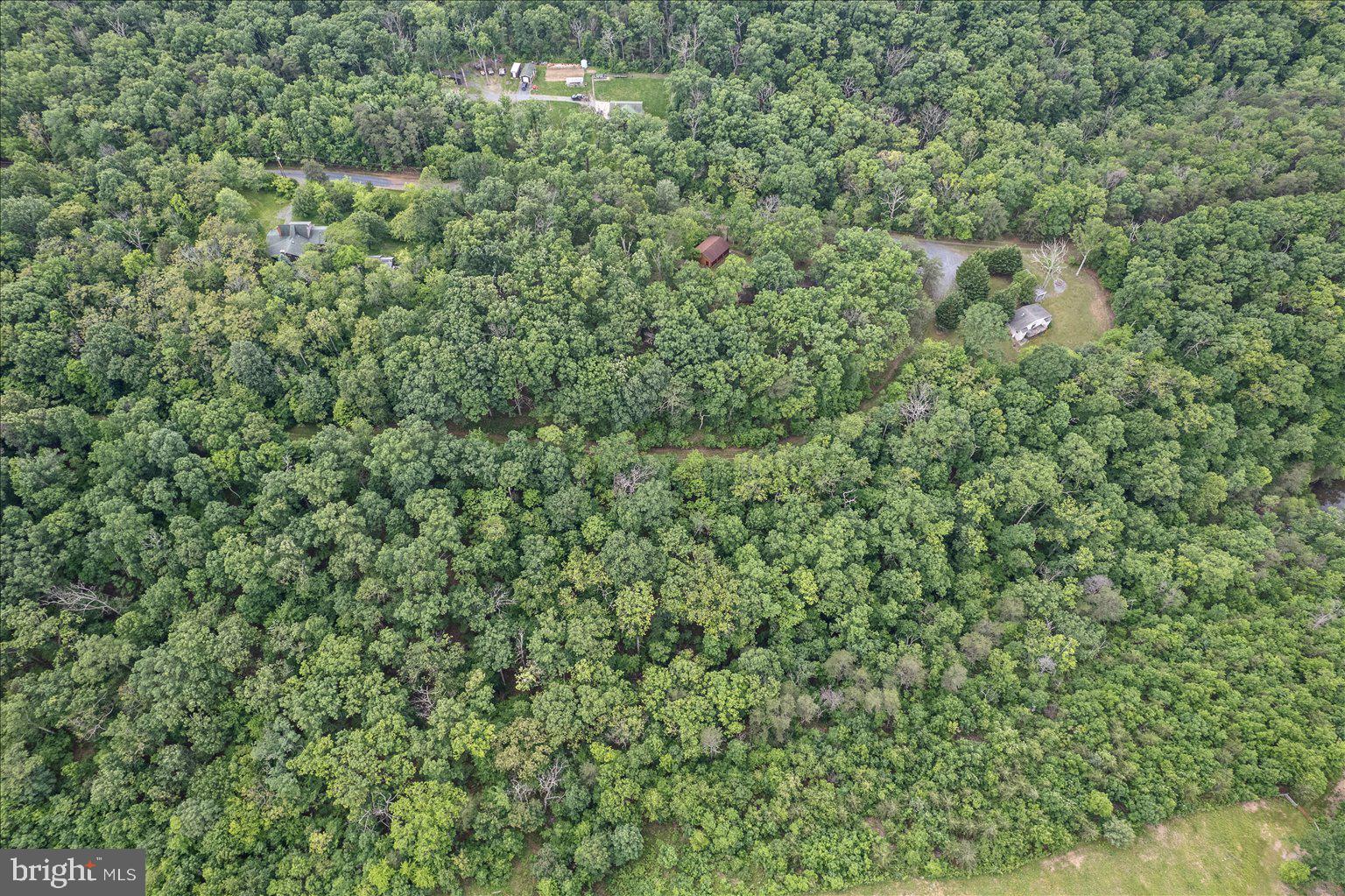 14-15 Glen Ridge Road Winchester, VA 22602 - Photo 8 of 11 a view of a lush green forest